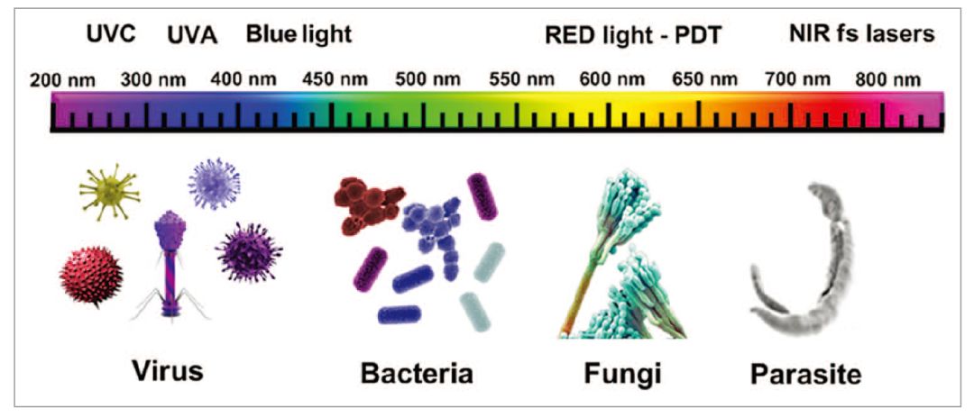 光觸媒滅菌系統